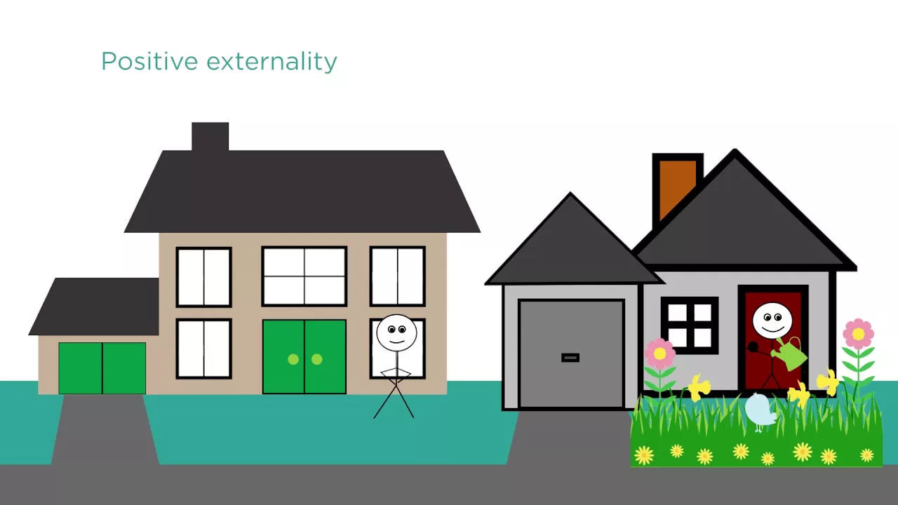 6.3 Market Failures and Externalities