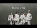 Download Lagu Hyundai x BTS | For the Earth 60 sec