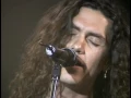 Caifanes - Estas Dormida (en vivo 1993)