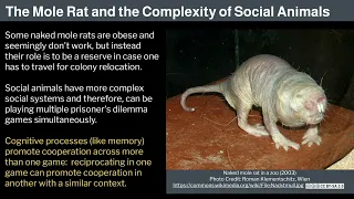 3 Human Behavioral Biology Evolution of Behavior 2 by Robert Sapolsky