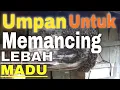 Download Lagu MEMANCING LEBAH MADU LIAR Datang masuk ke kotak DENGAN MADU ATAU GULA apakah bisa?