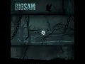 Wasi - BigSam