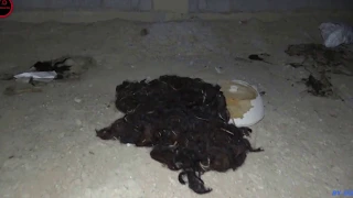 فريق الظلام الاماراتي مناطق مهجورة في عمان الجزء السابع 