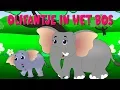 Download Lagu Olifantje in het bos | Kinderliedjes van vroeger
