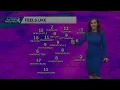 Ashley Dougherty Elena Laquatra - WTAE 4 Weather Traffic Montage