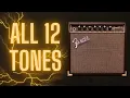 All 12 Fender Champion 20 Tones Back-To-Back