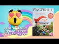 2022 Fingerhut Holiday Book Catalog Up To 4K Quality - See Our Toys R Us Playlist