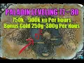 Paladin 77 - 80 Grinding Leveling 750k