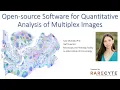 Use of open-source software for quantitative analysis of multiplex images