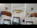 Download Lagu Animal Lover Trains Her Sugar Gliders