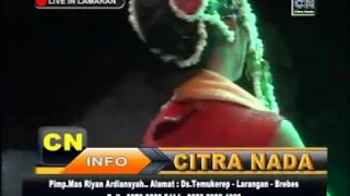 Download CITRA NADA Versi SINTREN - TURUN SINTREN MP3