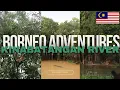 Download Lagu Boreno Adventures: 3 days on the Kinabatangan River with Sukau Greenview