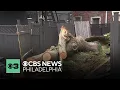 Hundreds of customers remain without power after storms in Philadelphia