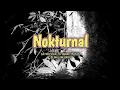 Download Lagu Melacak Satwa Nokturnal