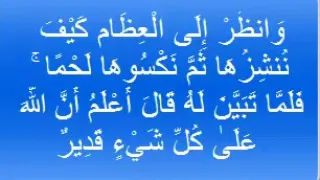 و انظ ر إ ل ى ال ع ظ ام ك ي ف ن نش ز ه ا ث م ن ك س وه ا ل ح م ا 