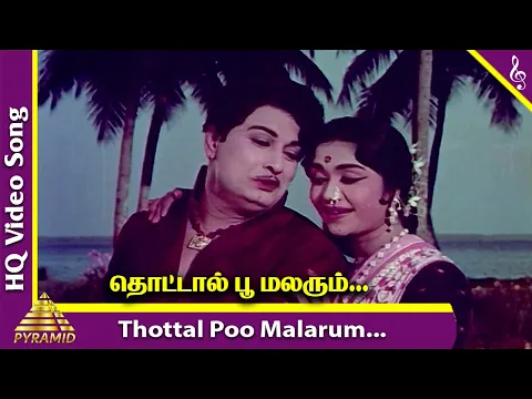 Download MP3 Thottal Poo Malarum Video Song | Padagotti Movie Songs | MGR | Saroja Devi | Pyramid Music