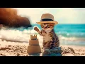 Download Lagu Kittens on holiday at sea | Cult of Kittens