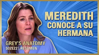 greys anatomy 2x22 una hermana una madrastra y un veterinario resumen temporada 2