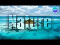 Create Transparent Text Effect in Canva - Easy Canva Tutorial