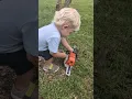 Download Lagu Kid's Stihl chainsaw #stihl #waylonsworld #apple #18months