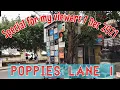 Download Lagu Poppies lane 1 condition || will shock you the situation 7 Dec 2021 #bali #condition  #poppies