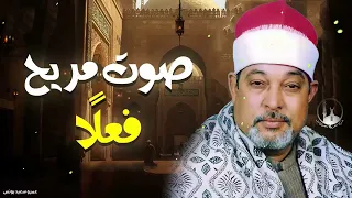 الشيخ السيد سعيد سورة يس والمزمل تلاوة أسطورية أبهرت الحاضرين 