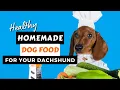 Best Dog Food For DACHSHUNDS - EASY Healthy Homemade Recipe that they LOVE