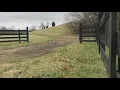 Death investigation underway after hunter finds woman s body in a Nelson County field