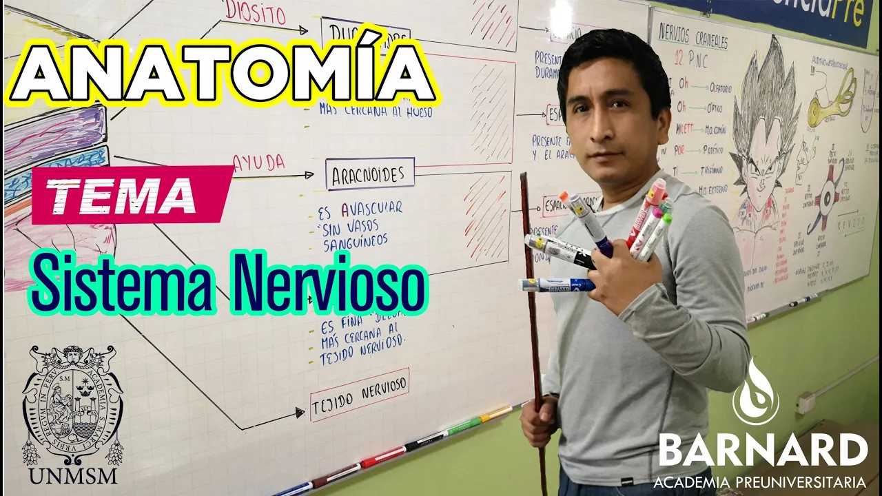 REPASO SAN MARCOS - ✅ Anatomía - Sistema Nervioso