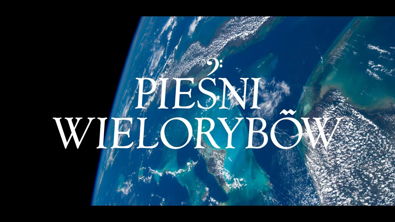 Zwiastun filmu Pieśni wielorybów online