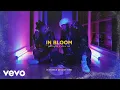 Lagu Protoje - In Bloom (Official Audio) ft. Lila Iké