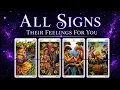 ALL SIGNS - THEIR FEELINGS FOR YOU August 15