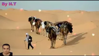 غريب وجالي هدية لكل متغرب  غريب وجالي هدية لكل متغرب