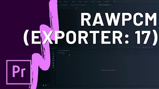 How To Fix A Low-Level Exception Occurred in (RawPCM Exporter:17)