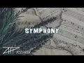 Zara Larsson — Symphony (Altay Tuna POLAT Remix)