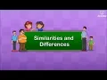 Similarities And Differences In Human Beings Periwinkle