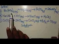 CHEMISTRY - Ionic Equation Writing Harrison J Zulu Tutor