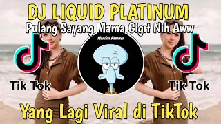 Download DJ PULANG SAYANG MAMA GIGIT NIH AWW x LIQUID PLATINUM REMIX TIKTOK VIRAL FULL BASS TERBARU 2022 MP3