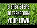 6 Easy Steps to transform your lawn with overseeding Make your lawn greener with these easy steps