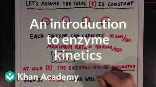 an introduction to enzyme kinetics chemical processes mcat khan academy