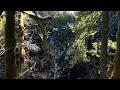 Slow Meadow - Artificial Algorithm (Snorri Hallgrimsson Rework)