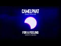CamelPhat, ARTBAT - For A Feeling (Dark Matter Edit) [Visualiser] ft. RHODES