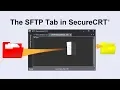 The SFTP Tab in SecureCRT