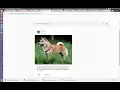 Angular Material Design Card
