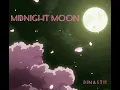 Midnight Moon Lo-Fi beat - Dinastii Beats