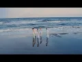 Download Lagu ONE Ｎ' ONLY／“We Just Don't Care” Music Video