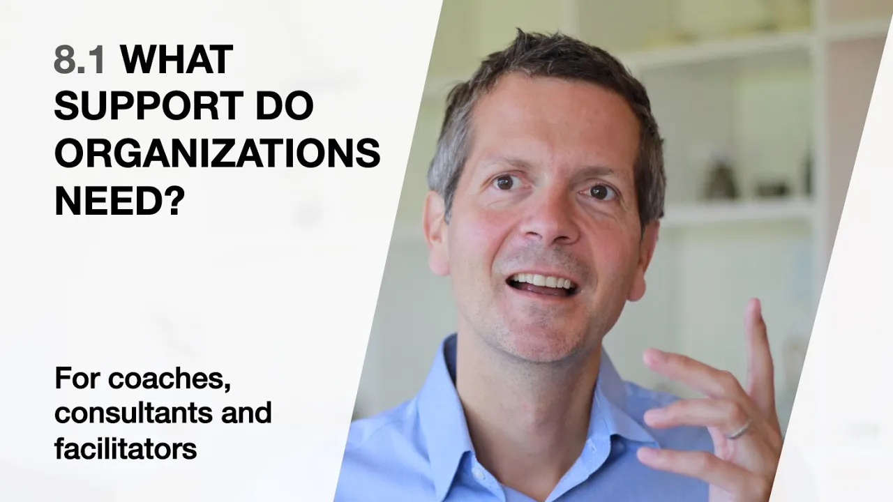 Outline Video 8.1 What support do organizations need? (For coaches, consultants and facilitators)