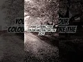Download Lagu Sapphire - ed Sheeran (lyrics)