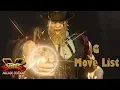 Street Fighter V Arcade Edition - G Move List
