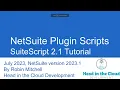 NetSuite Custom Plugin Type Script Walkthrough